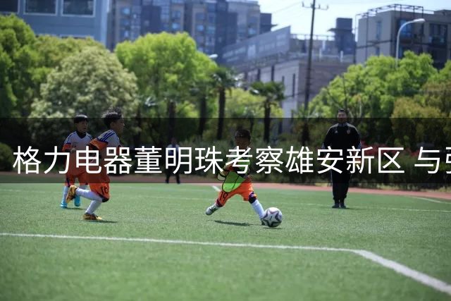 格力电器董明珠考察雄安新区 与张国华共商合作