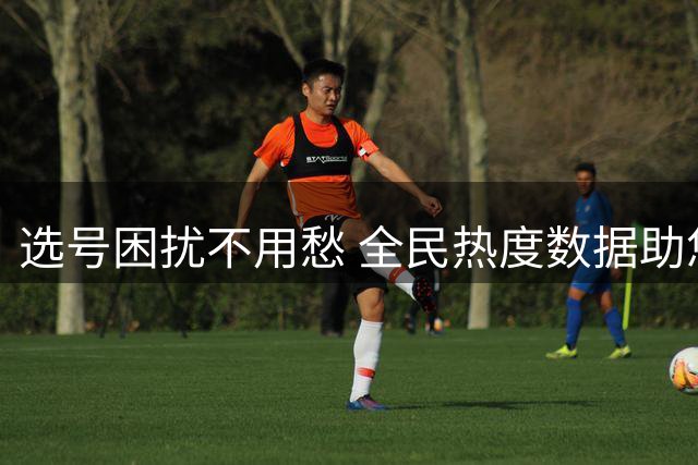 选号困扰不用愁 全民热度数据助您精准投注